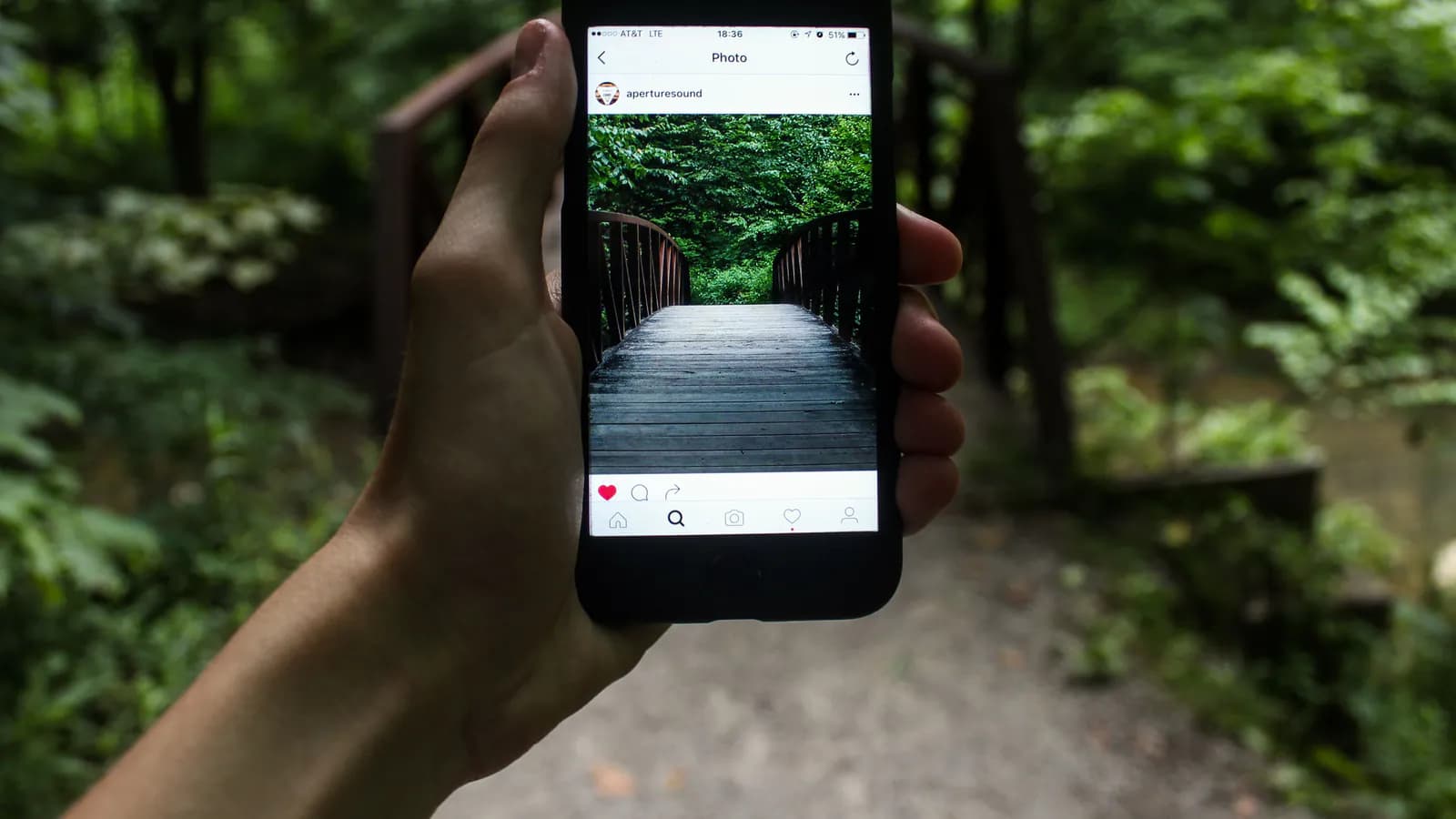 Рука держит смартфон, на экране открыт пост в Instagram с деревянным мостом среди зелёного леса.